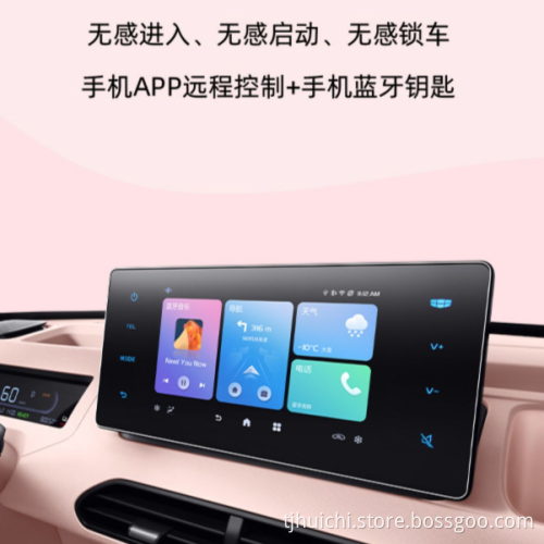 Electric Geely Panda Patrol Auto 4 posti